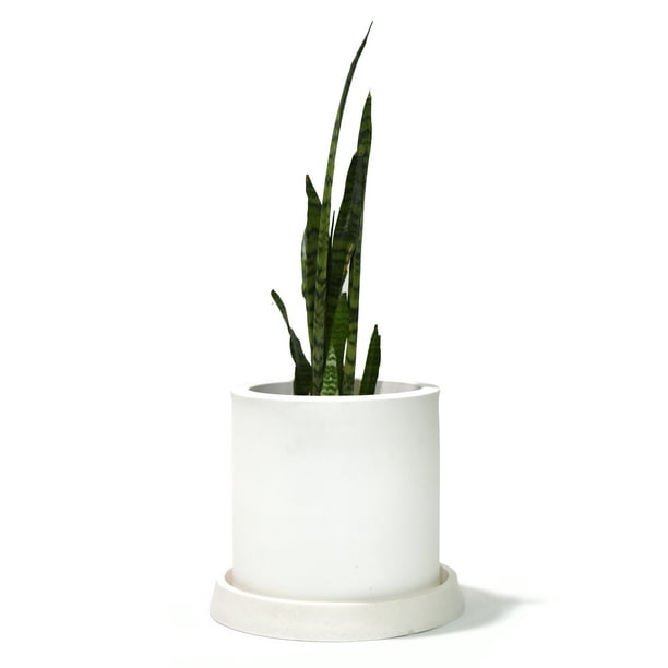Bello macetero grande blanco con planta de hojas grandes para agregar a la  decoración interior #flowerpot #…