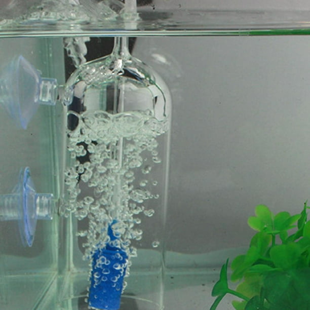 GLOGLOW Difusor de CO2, difusor de CO2 acrílico transparente, atomizador de  burbujas con ventosa para plantas de acuario, accesorios de bomba de aire