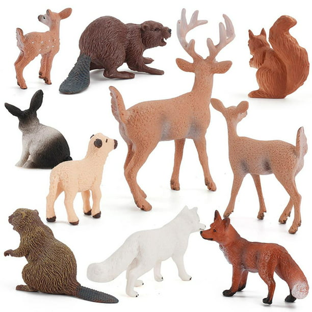 Figura animal modelo selva animal juguete conjunto aprendizaje bosque animales  juguetes 12 Unids Animal Figura Modelo Selva Animal Juguete Conjunto  Artificial Animal Salvaje ANGGREK Otros