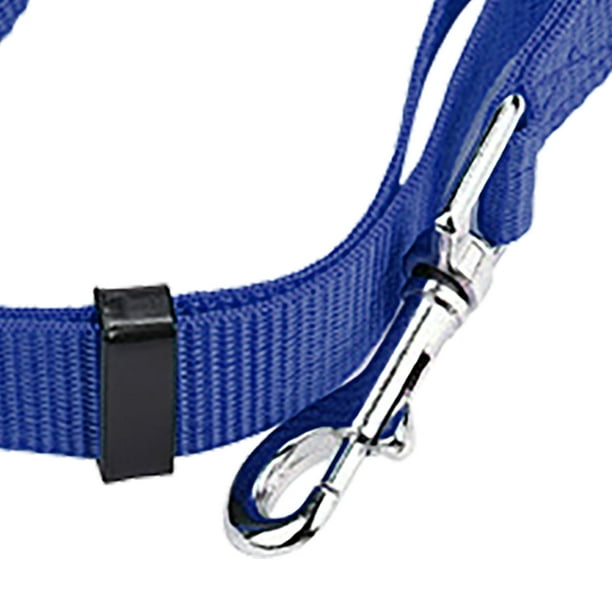 Cinturón de seguridad para coche para perros, correa ajustable para  vehículo, Collar, accesorios par Ndcxsfigh