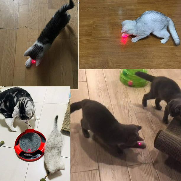 Puntero láser para gatos - Linterna LED con luz en forma de animal -  Bolígrafo Lazer ideal para jugar con gatos y perros, con llavero, colores  surtidos (paquete de 5) LingWen 8390605724190