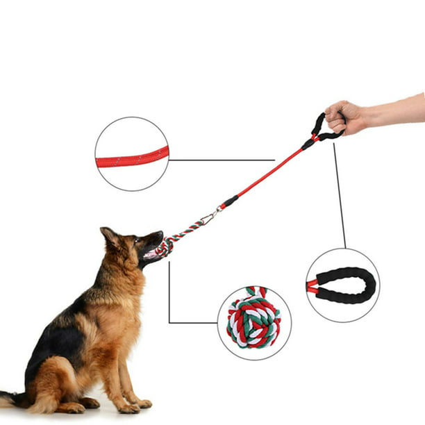 Juguetes interactivos para perros, juguete duradero para perros de