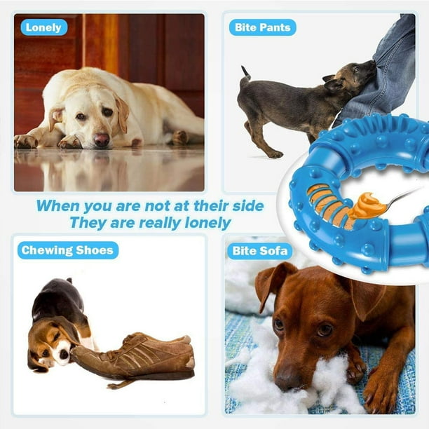 ADSDIA Juguete para perros para masticadores agresivos, juguetes  masticables para masticadores agresivos, juguetes duraderos para perros  grandes