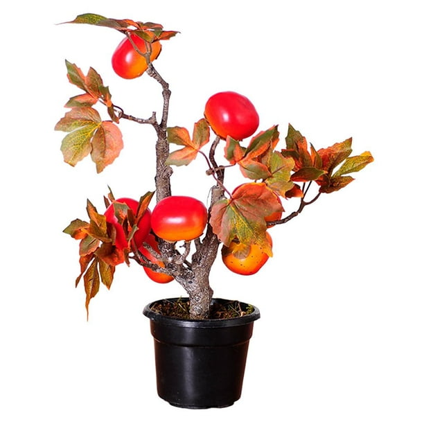 Árbol de olivo Artificial de 90 ~ 210cm, planta falsa en maceta, ramas de  olivo de imitación grandes y frutas, bonsái para el suelo de la sala de  estar y la oficina