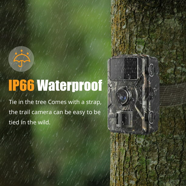 Comprar Cámara de caza impermeable para juegos, cámara de rastreo de 16MP  4K con visión nocturna para monitoreo de vida silvestre