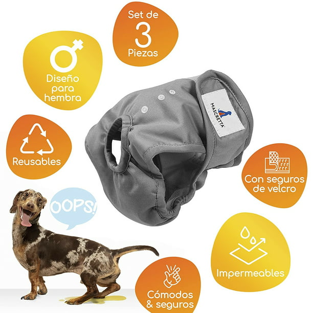 Pañales reutilizables para mascotas con 3 pañales de repuesto de malla  transpirable, lavables, pañales sanitarios súper absorbentes para perros