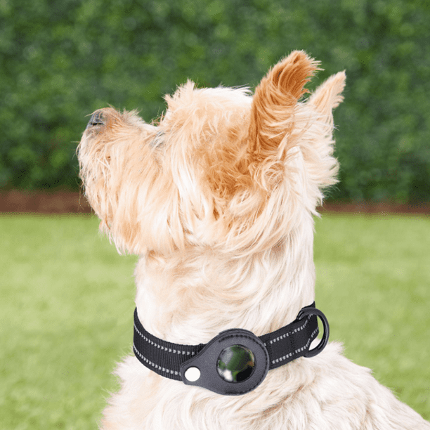 Collar de perro AirTag reflectante, collar de perro Apple Air Tag  acolchado, collar de perro resiste Adepaton Correas y Collares para Perros
