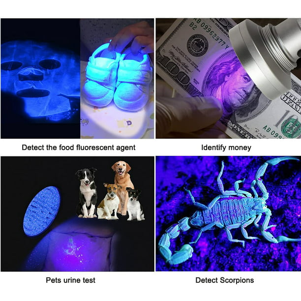 Los rayos UV de 12 LED Linterna Luz negra para el escorpión, Detector de  dinero o de orina de animales de compañía - China La luz UV, luz negra