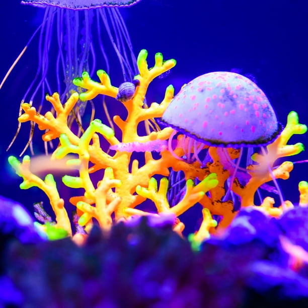 Silicona Acuario Simulación Coral, Fluorescencia Decoración, Rosa Rojo  Unique Bargains acuario decoración coral