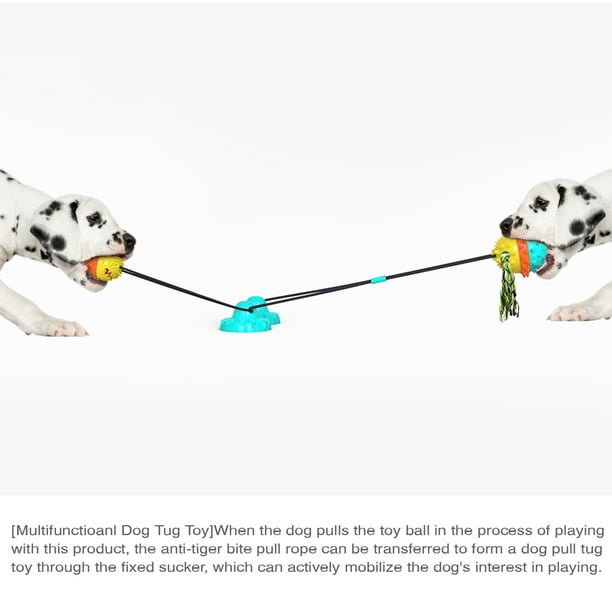 Juguetes para perros para masticadores agresivos Juguetes interactivos para  perros de razas grandes yeacher