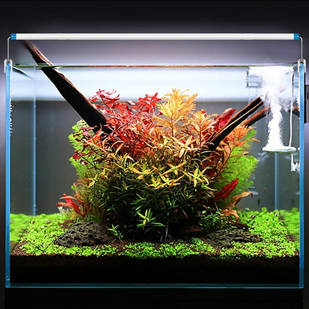 Luz LED clásica brillante para acuario, luz de tanque de peces de arrecife  con soportes extensibles, lámpara de crecimiento de plantas acuáticas, LED
