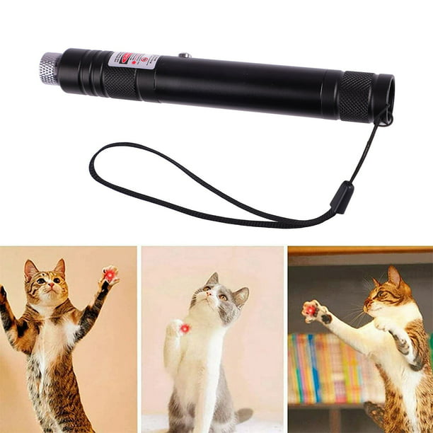Puntero láser USB puntero láser antideslizante juguete interactivo para  gatos lámpara roja de alta potencia usable para acampar para astronomía  ANGGREK Otros