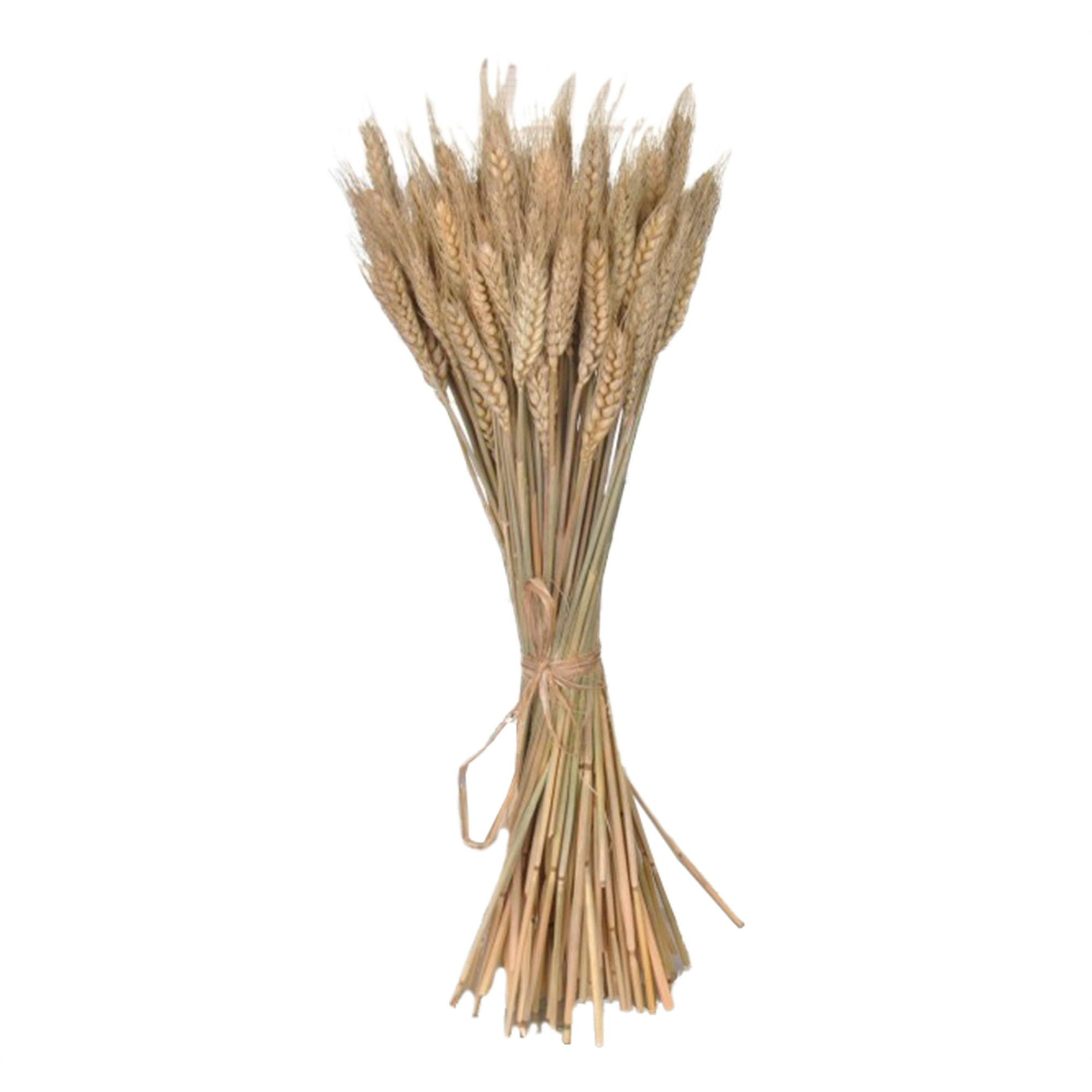 8 ideas de Decoración con espigas de trigo  espiga de trigo, decoración de  unas, flores secas