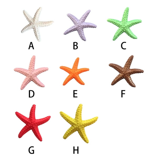 Decoración de estrella de mar – Paquete de 18 estrellas de mar de 3 a 4  pulgadas – Decoración de pared de estrella de mar blanca – Estrellas de mar  de