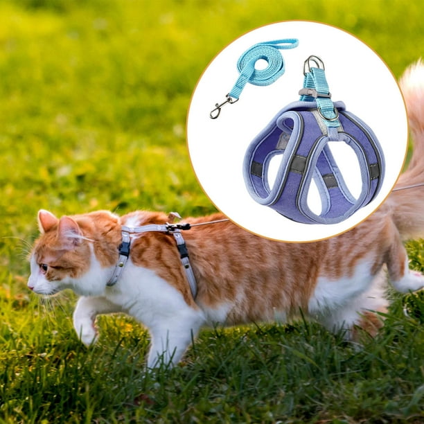 Arnes-correa gato reflectante Azul —  accesorios para gatos