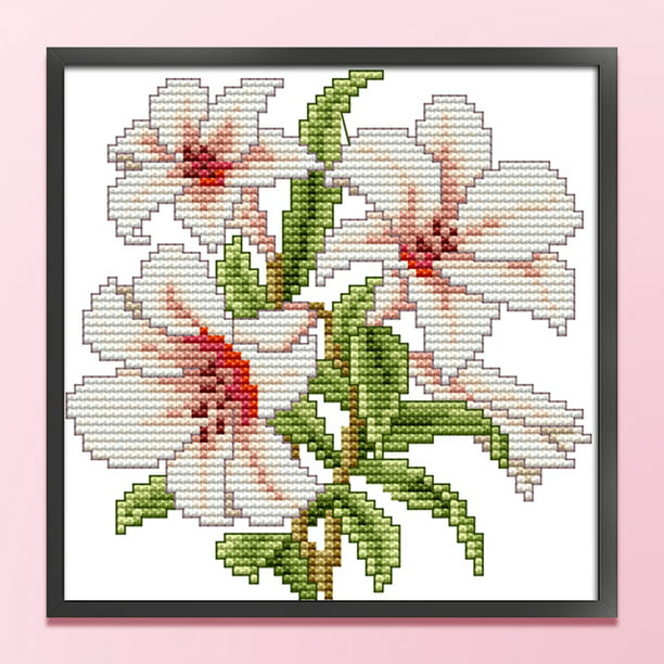 Cuadros Decorativos Bordado parcial Hilo de algodón ecológico Kit de punto  de cruz de flores impresas de 14 quilates (H449) Wdftyju embutido en tela