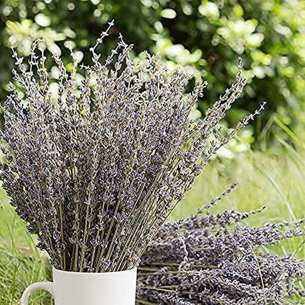 L+ Corona de lavanda seca natural y flores estáticas de 26 pulgadas, 100%  natural, flores de lavanda púrpura oscuro