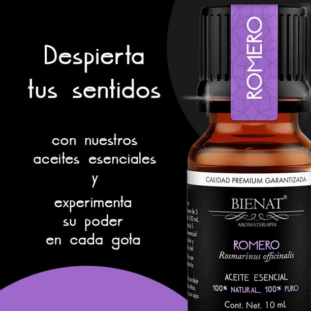 Aceite Esencial de Romero – Bienat Aromaterapia México