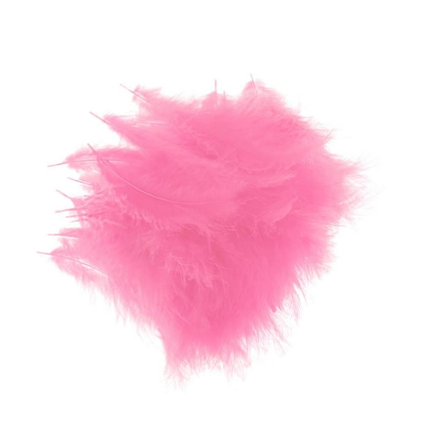  Larryhot Pink Craft Feathers - 240 plumas decorativas naturales  de 6 estilos para bodas, fiestas en casa, suministros de atrapasueños y  manualidades (rosa) : Arte y Manualidades