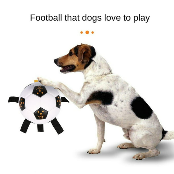 Pelota de fútbol – Love Pet