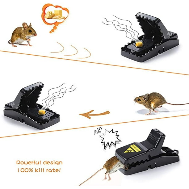 Trampa para ratones, juego de 6 trampas para ratones efectivas para  interior, cocina, hogar, jardín TUNC Sencillez