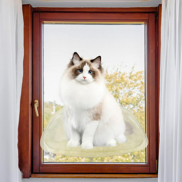 PEQULTI Percha para ventana de gato, hamaca de ventana de gato  de doble capa, asiento de gato montado en ventana, cama para gatos de  interior : Productos para Animales