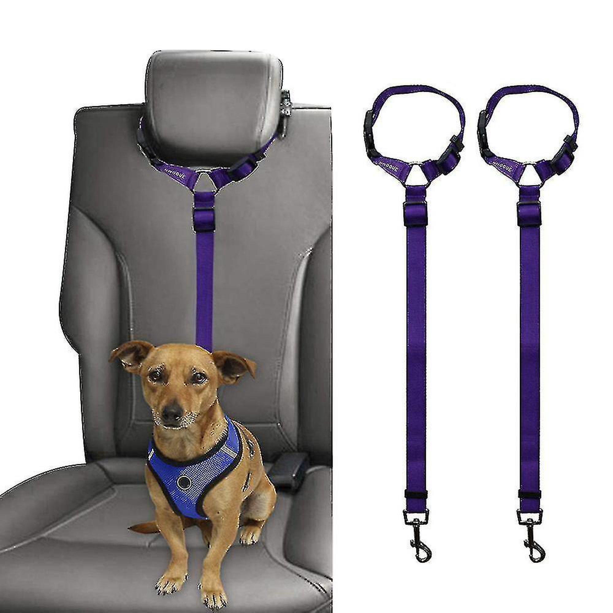 BWOGUE Cinturones de seguridad para perros y gatos, correas de seguridad  ajustables para reposacabezas de coche