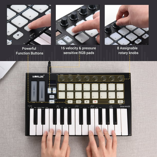 Controlador MIDI Worlde Panda Mini Portátil Mini 25 Teclas Teclado USB y  Drum Pad Controlador MIDI WORLDE Controlador MIDI