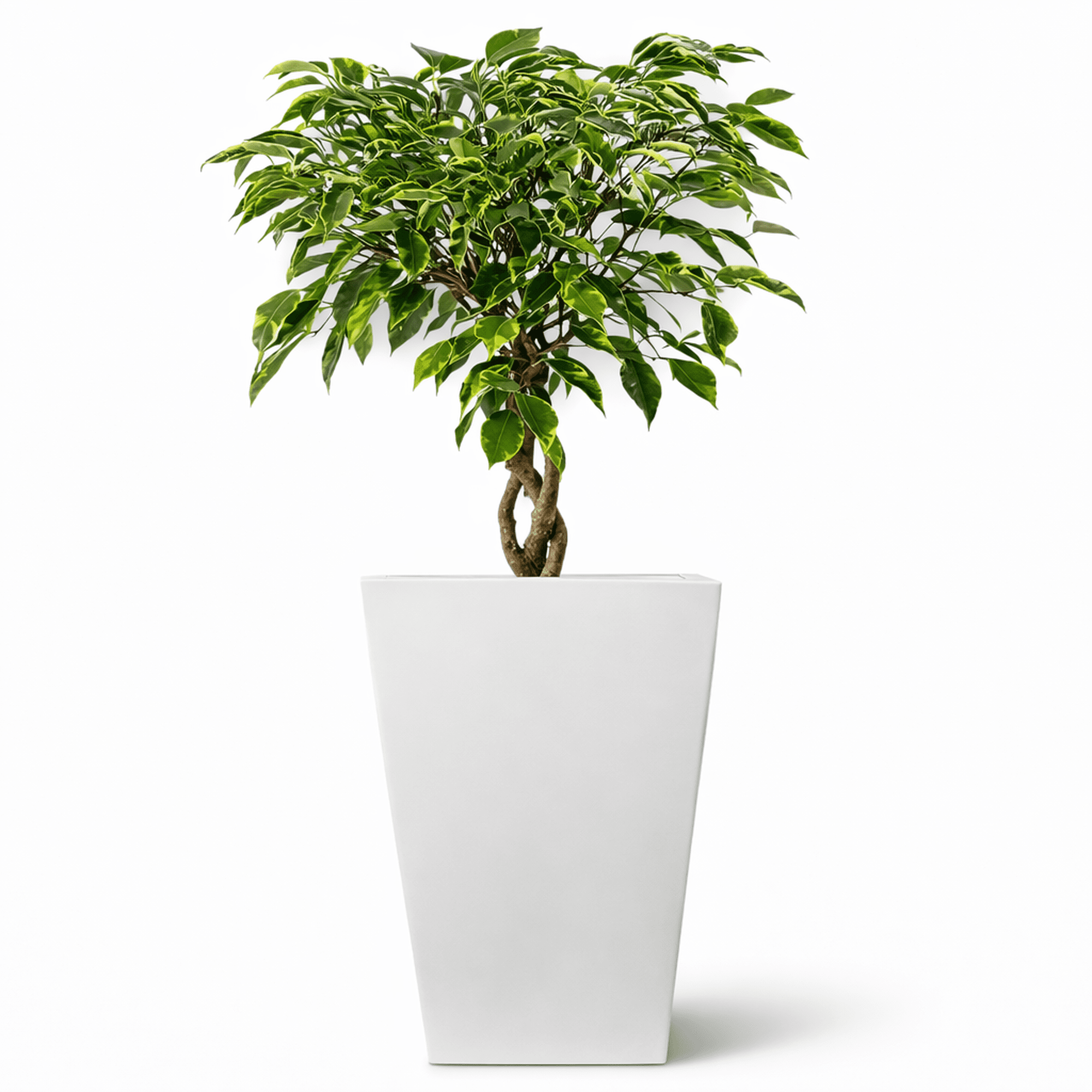 Maceta cuadrada alta elly decor 56 cm blanca con drenaje para interior y exterior