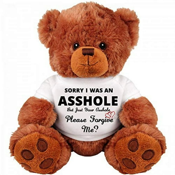teddy bear sinman lo siento me perdonas regalo romántico y divertido de 20 cm