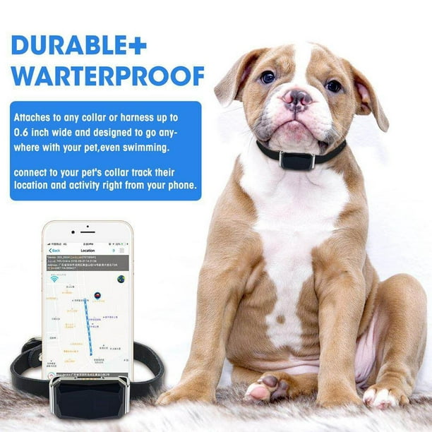 Rastreador GPS para perros, localización impermeable, collar de seguimiento  de mascotas, monitor de actividad GPS para gatos y perros, dispositivo de
