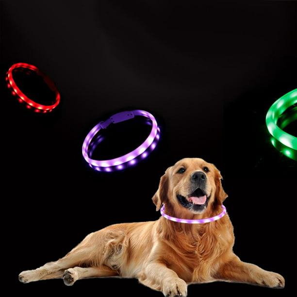 Collares de perro con luces LED recargables que brillan en la oscuridad,  collar de perro con luces intermitentes para caminar por la noche (azul