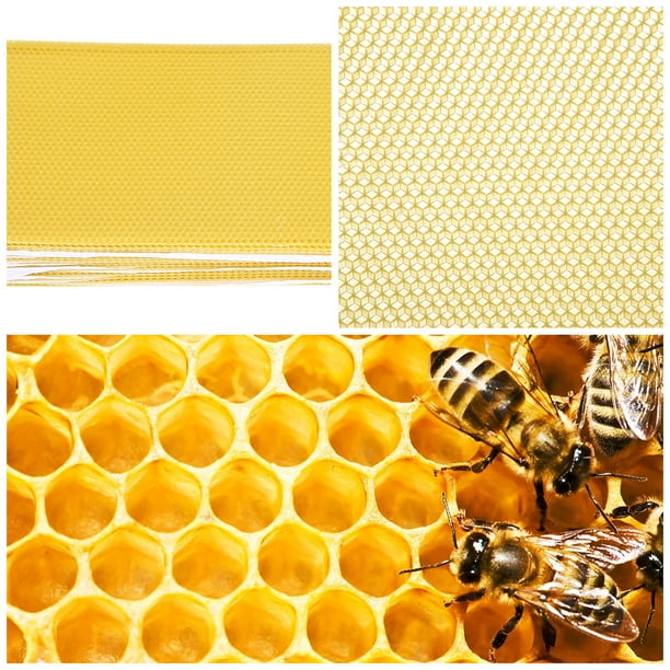 Base de cera para marcos de abejas, hojas de cera de abejas para colmenas,  hojas de cera de abeja de miel, 30 piezas (16.34 x 7.68 pulgadas)