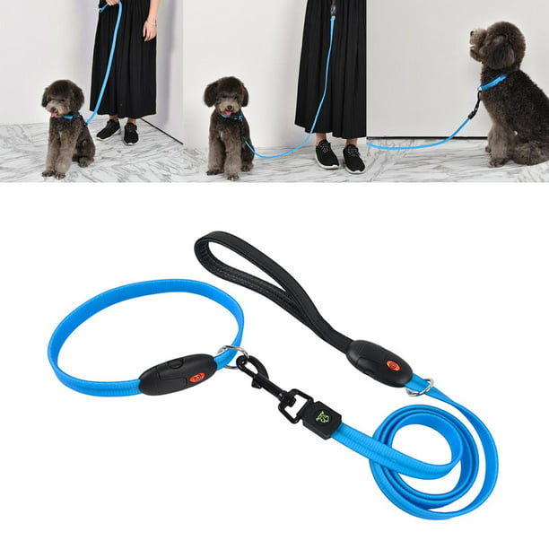 Collar Con Luz Led Para Perros Gatos Pequeños Pasear Perro Noche Mascota  Azul