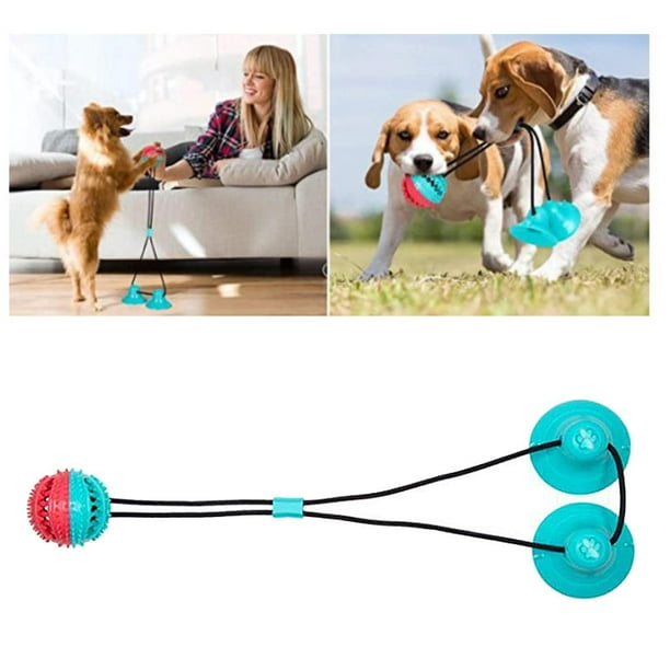 Juguetes Para Perros con ventosa, pelota interactiva para perros