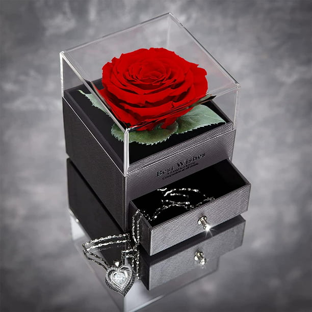 Caja de Rosas Eternas Reales Hechas a Mano, con Collar de Regalo en 100  Idiomas, Regalos de Rosas para Mujer para el Día de San Valentín, Día de la  Madre, Aniversario (Rojo) (
