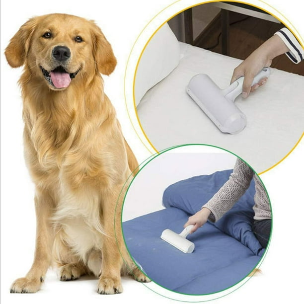 Removedor de pelo de mascotas – Rodillo de pelusa para pelo de mascotas –  Removedor de pelo de gatos y perros para sofá, muebles, alfombras, asiento
