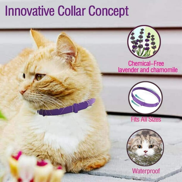 Paquete de 4 collares calmantes para gatos, collar calmante de feromonas  para gatos, collar de feromonas para gatos, collar de feromonas para gatos