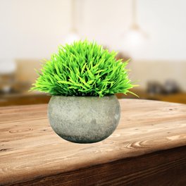 Árbol bonsái Artificial, decoración de plantas falsas en maceta, plantas  artificiales para el hogar, bonsái de pino japonés, planta alta para  decoración del hogar TUNC Sencillez