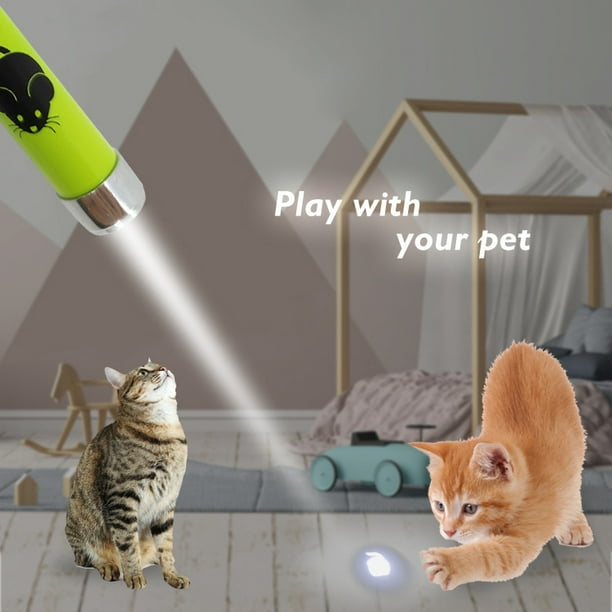 Puntero láser para gatos - Linterna LED con luz en forma de animal -  Bolígrafo Lazer ideal para jugar con gatos y perros, con llavero, colores  surtidos (paquete de 5) LingWen 8390611089726