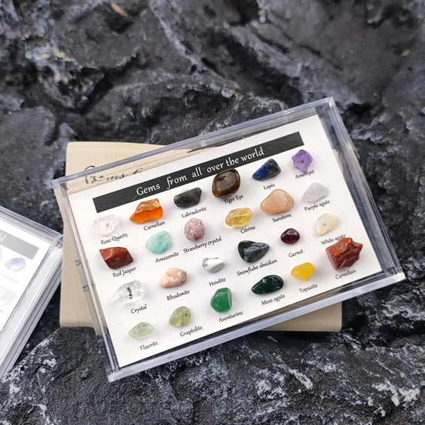 Muestras de minerales naturales Minerales Piedras Espécimen Colección de piedras  preciosas Adornos de arte Likrtyny Para estrenar