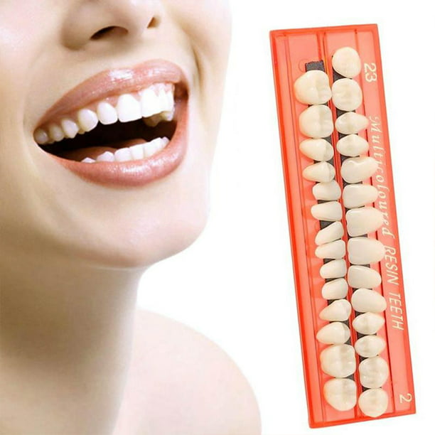 Modelo de dentaduras de resina duradera, dientes postizos universales,  conjunto de 28 unidades de Advancent CE003654-00