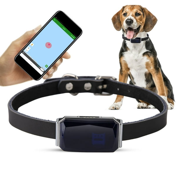 Collar antipérdida para perros, collar localizador GPS para