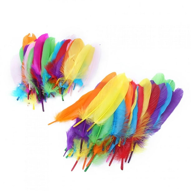 Audamp 300 plumas de colores para manualidades, manualidades, decoración de  boda, hogar, fiesta