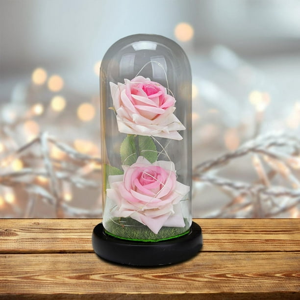 Regalos de rosas navideñas para mujeres, regalo en luz LED, ideas para  regalos para el Valentín, rojo Baoblaze Hada eterna rosa