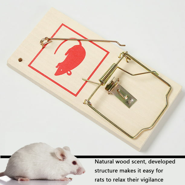Trampas Para Ratas De Cubo Humano De Madera Eficaz Fácil De Limpiar Trampa  Para Ratones De Tablón Re ANGGREK Otros