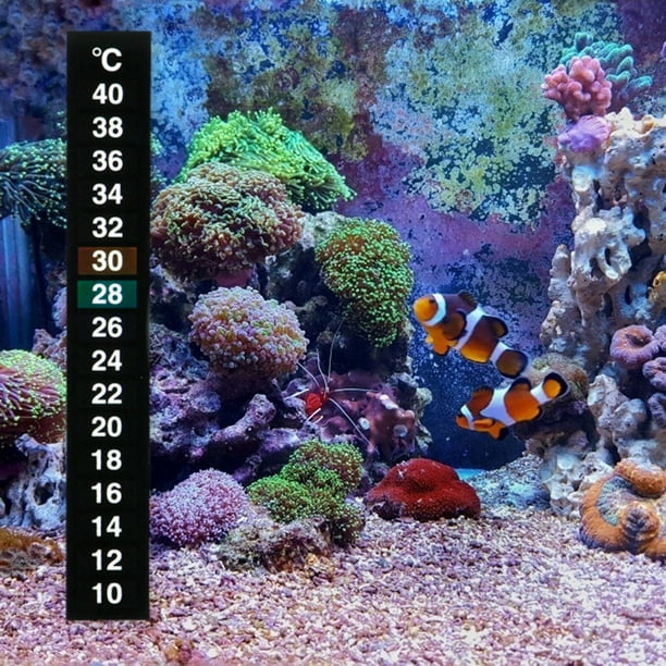 Wdftyju Termómetro Vertical para acuario medidor de temperatura de vidrio  para tanque de peces doméstico Wdftyju 5tt2sw6lb7xf1gk8
