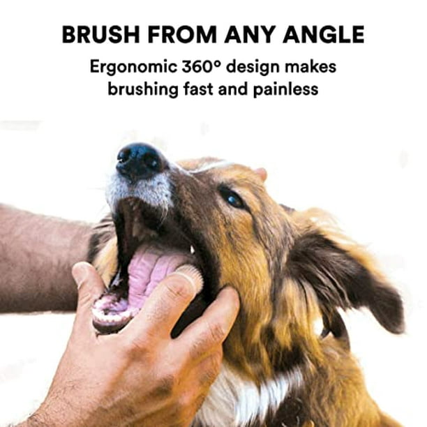Quitapelos Mascotas Cepillo Quita Pelos,Fácil de Limpiar el Pelo de Ma –  collar-antiladridos