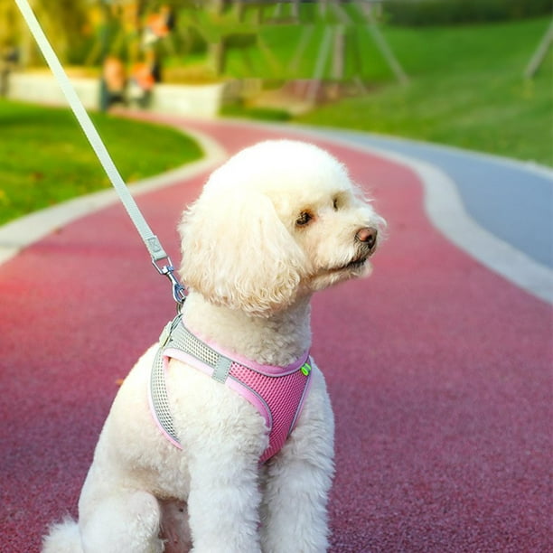 Arnés para perro sin tirones, ligero y suave, arnés ajustable para perro  pequeño y correa, adecuado para cachorros, perros y gatos pequeños y  medianos