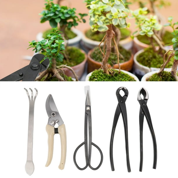 Kit de herramientas de jardín 5 piezas Kit de herramientas Bonsai Cortador  de ramas Tijeras de acero al carbono para plantas ANGGREK Otros
